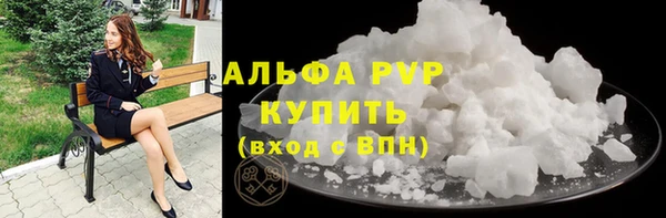 PSILOCYBIN Гусев