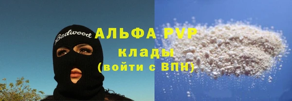 PSILOCYBIN Гусев