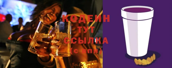 PSILOCYBIN Гусев