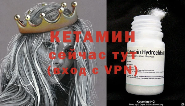 PSILOCYBIN Гусев