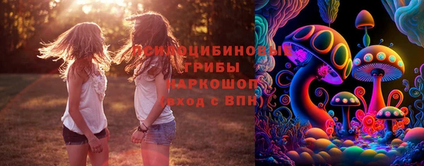 марки nbome Гусь-Хрустальный