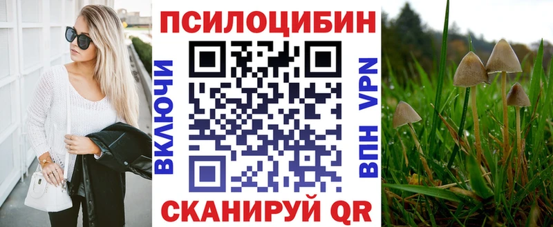 Псилоцибиновые грибы Cubensis  omg как войти  Оренбург 